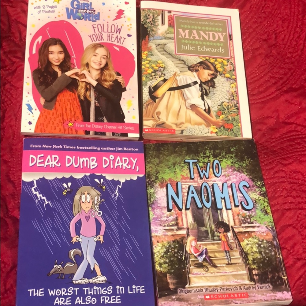 4 for $10 Chapter Books for children